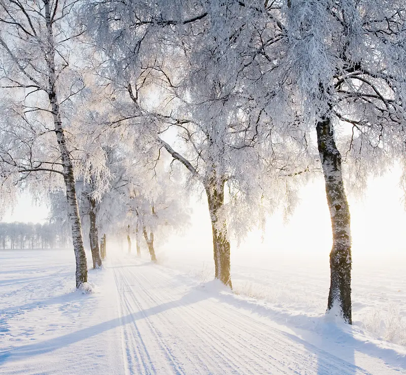 ���峡����Ӱ��ľ�ϳ�-������