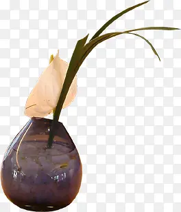 ���ڳ�����Ӱ����-������