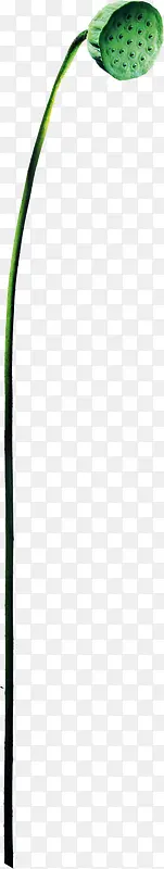 ����ʱ�г�����ź-������