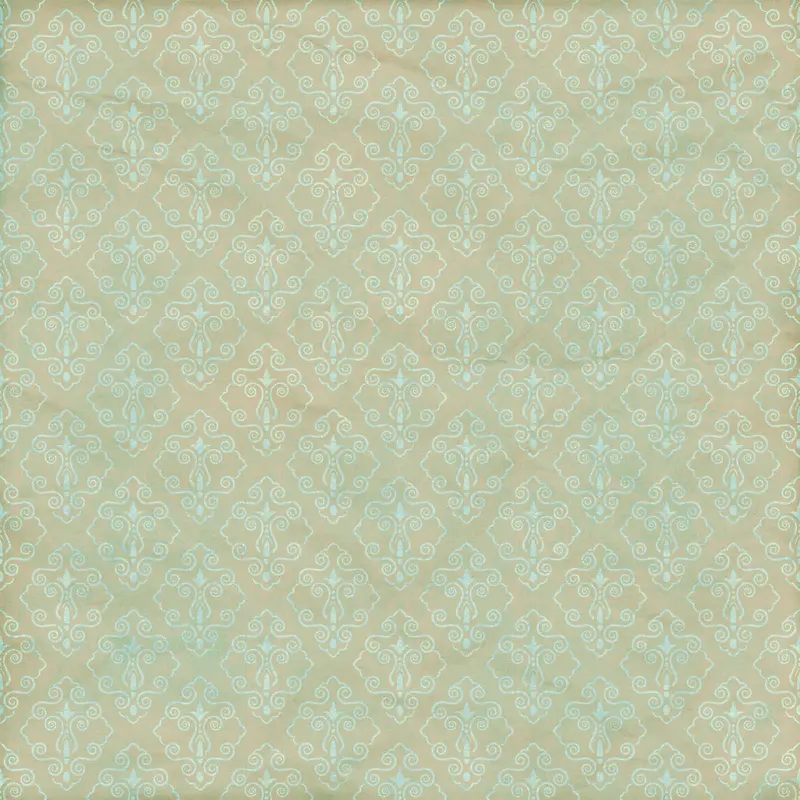 ���Ż��Ʊ���-������