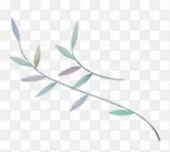 ��֦�ʻ���֦װ��-������