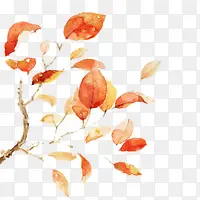 �ʻ��Ҷ��֦ͼƬ-������