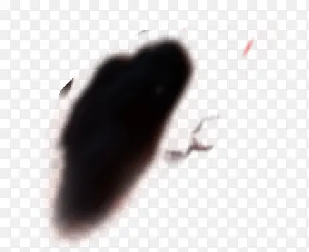 ��ɫī��������ǩ-������