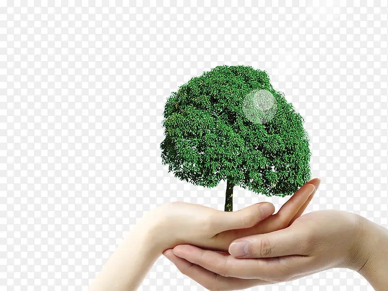 ������С��-������