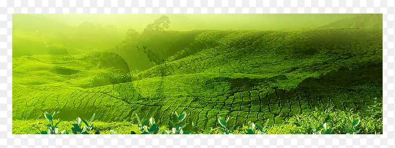 ������Ӱ�ϳɲ�ɽ-������