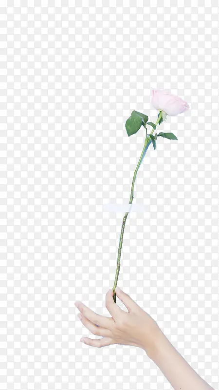 ���û�-������