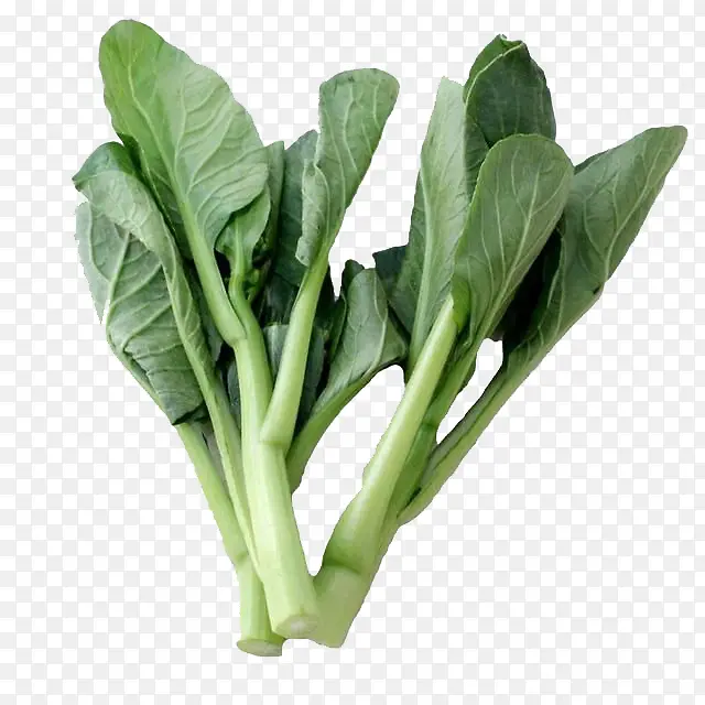 С�ײ�-������