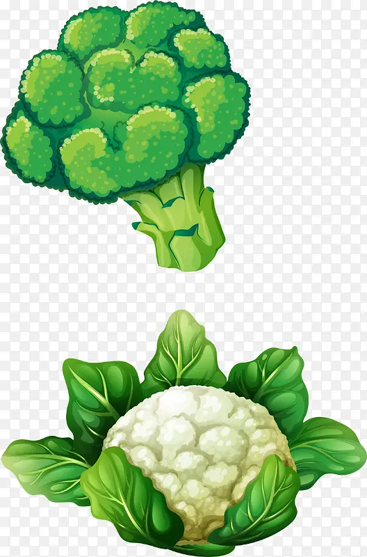 ʸ���ֻ��߲�-������