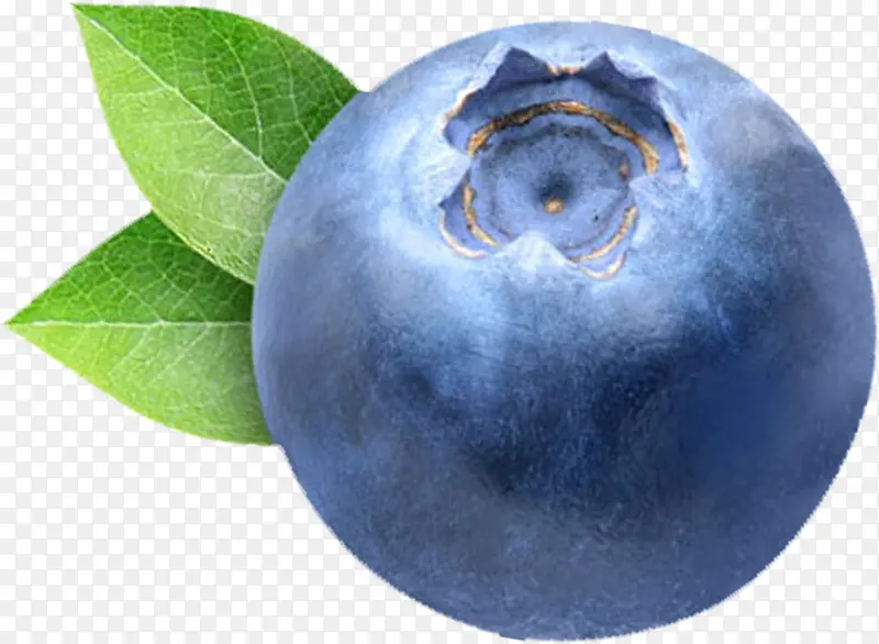 ��ɫ����ˮ����ݮ-������