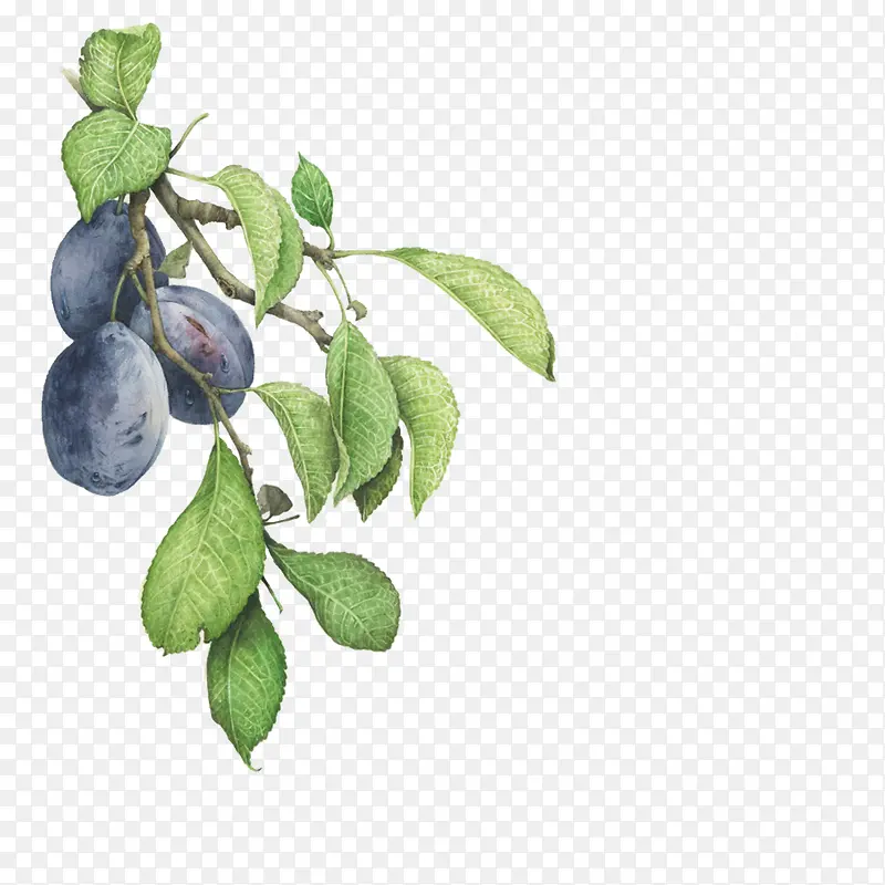 ˮ���ֻ�-������