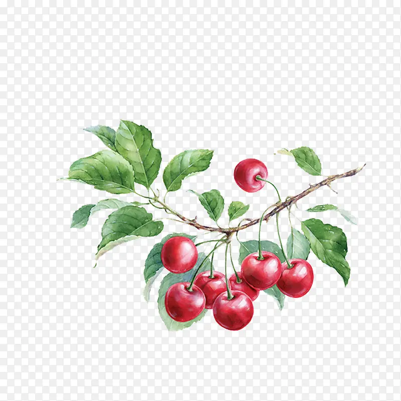 �ֻ�ӣ��-������