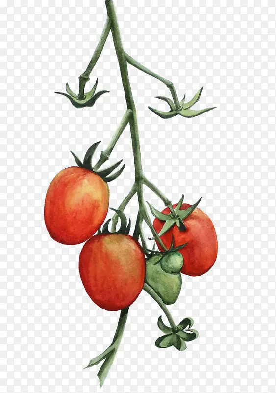 �ֻ�ˮ��-������