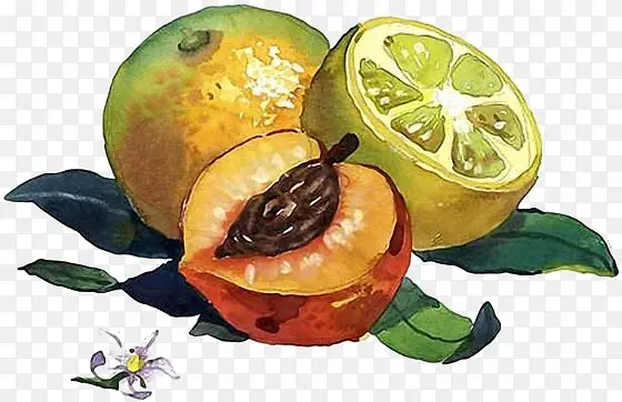 �ֻ�ˮ��-������