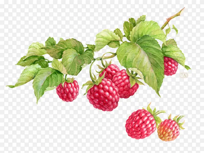 �ֻ�ˮ��-������