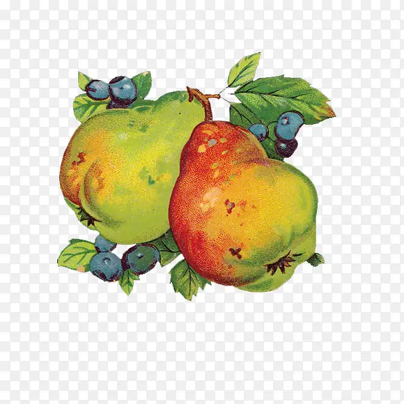 �ֻ�����-������