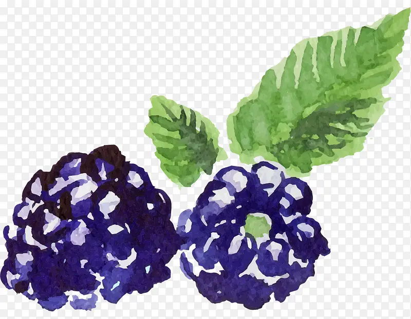 ˮ�ʻ���ݮ-������