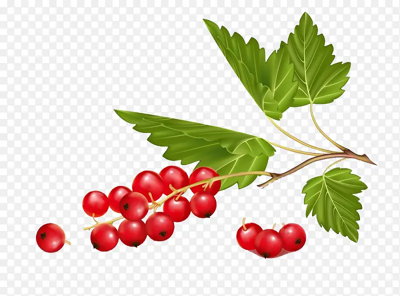 �ֻ�ɽ�-������