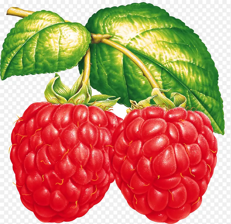 �ֻ���Խݮˮ���ز�-������