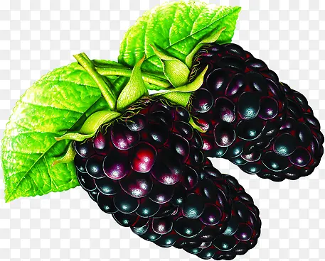 ˮ�������ֻ���ζ-������