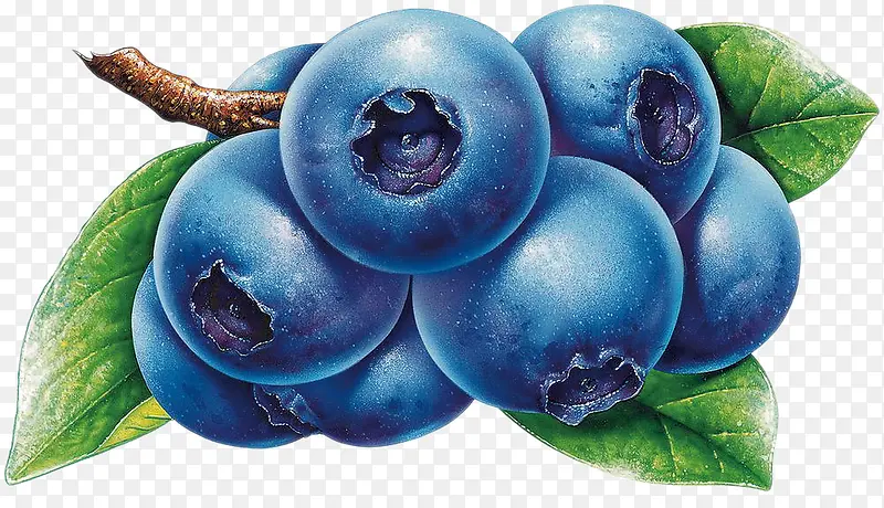 �ֻ���ݮˮ������-������