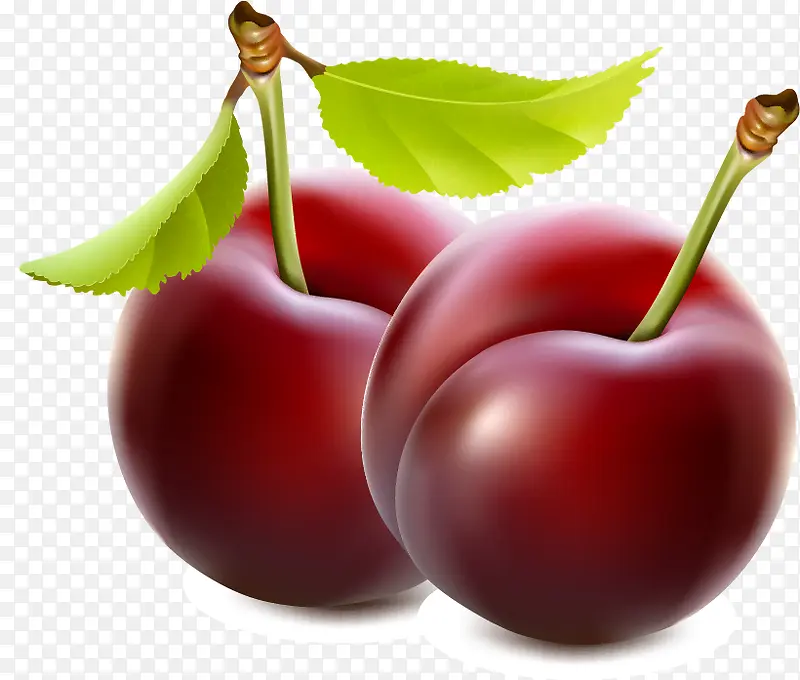 ����ˮ��pngʸ���ز�-������