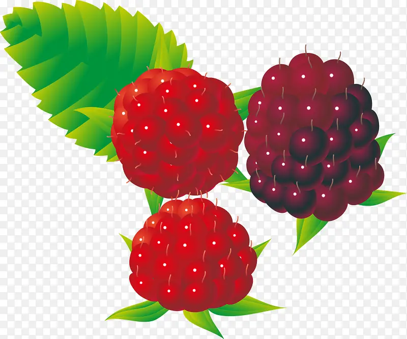 ɣ��pngʸ���ز�-������