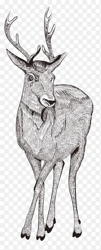 �ֻ���¹-������