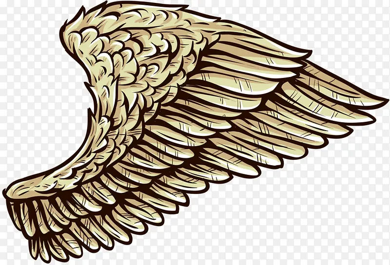 �ֻ�ӥ���-������