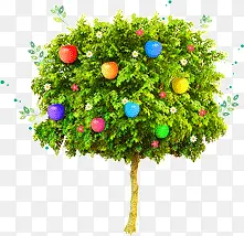 ��ɫ����-������