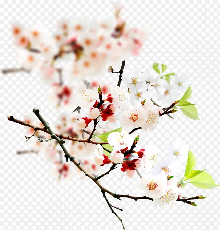 ֲ�ﻨ����������-������