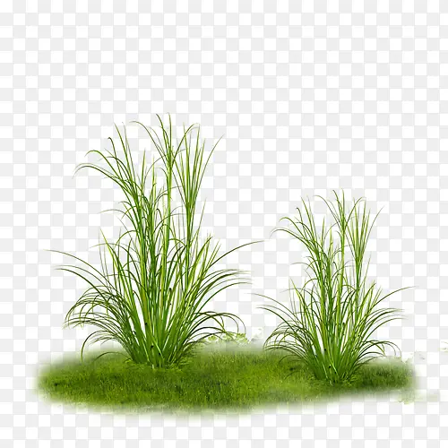 �ݣ��ߣ��ͣ�װ��-1-������