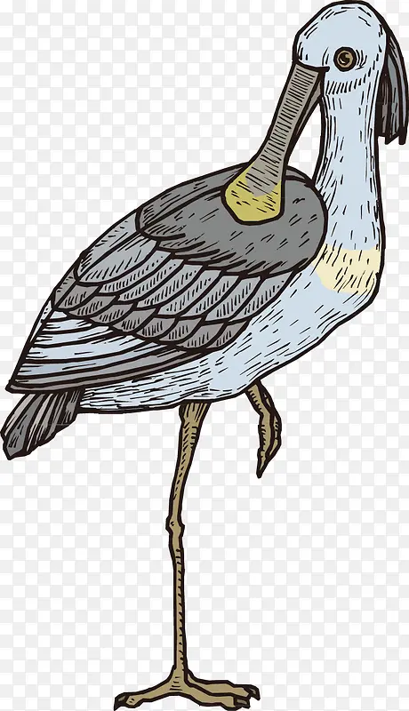 ��ͨ�ֻ��-������