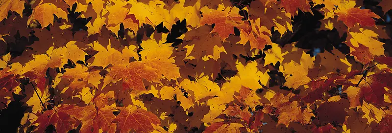 Ψ��������Ӱ�羰ͼ-������