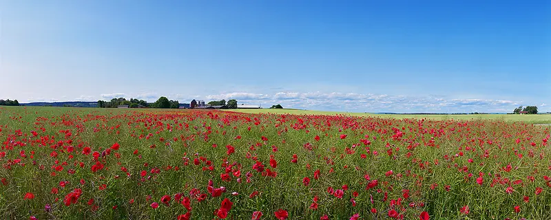 Ψ��������Ӱ�羰ͼ-������