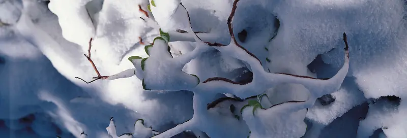 Ψ��������Ӱ�羰ͼ-������