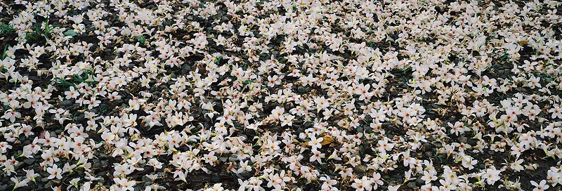 Ψ��������Ӱ�羰ͼ-������