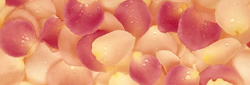 Ψ��������Ӱ�羰ͼ-������