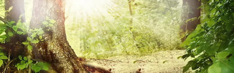 Ψ������-������