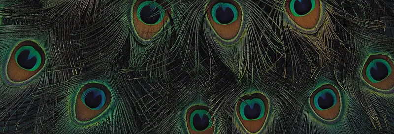 Ψ��������Ӱ�羰ͼ-������