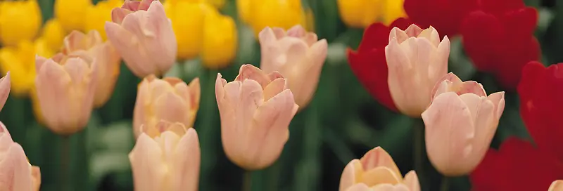 Ψ��������Ӱ�羰ͼ-������