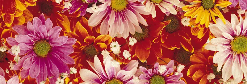 Ψ��������Ӱ�羰ͼ-������