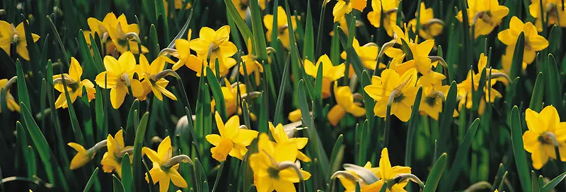 Ψ��������Ӱ�羰ͼ-������