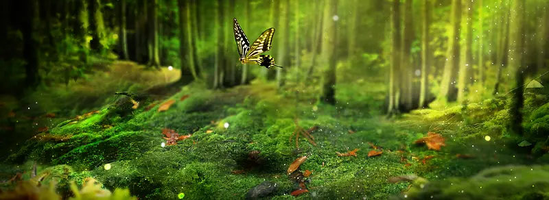 ʱ��Ψ������-������