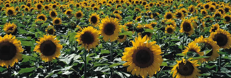 Ψ��������Ӱ�羰ͼ-������