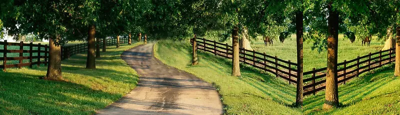 banner�������-������