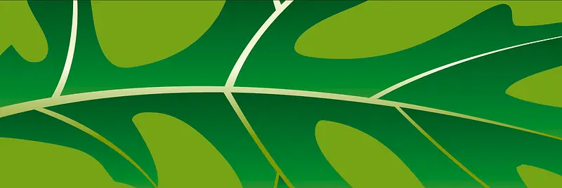 ����banner����-������