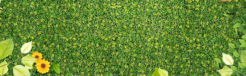 ����С���±���ͼ-������