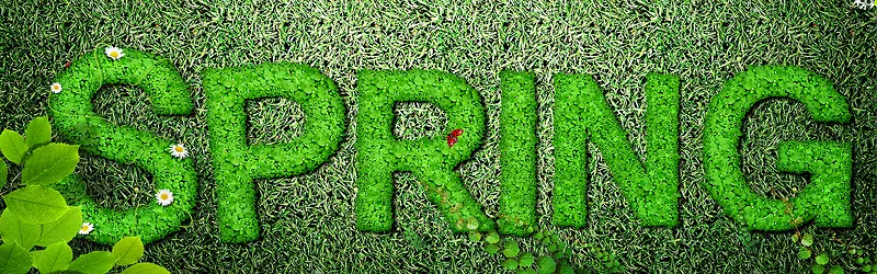 ����С���±���ͼ-������