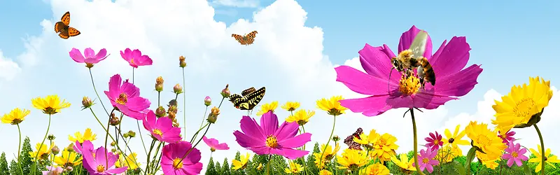 ʱ��С���±���ͼ-������