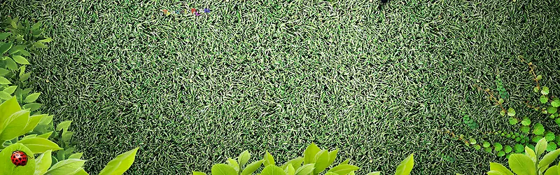 ����С���±���ͼ-������